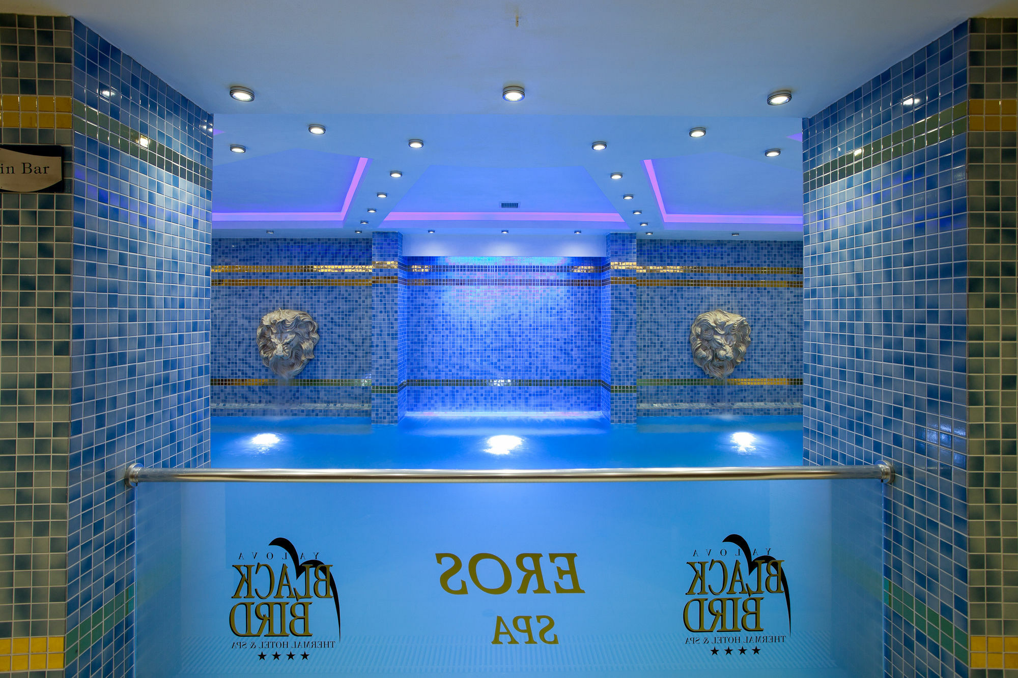 Black Bird Thermal Hotel & Spa Gokcedere Esterno foto